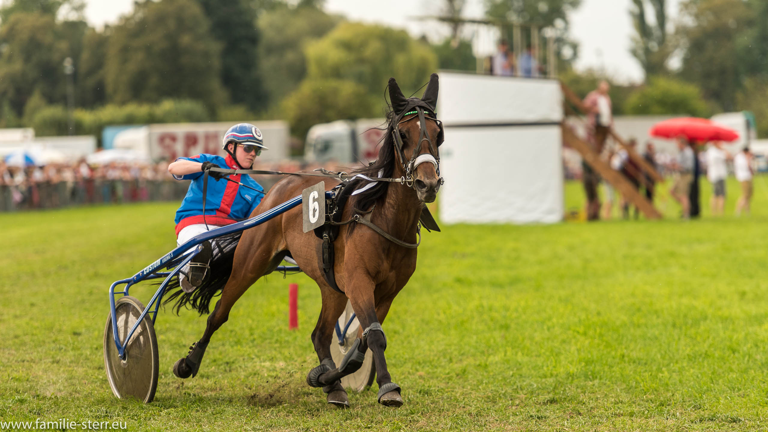 Trabrennen in Erding 2017